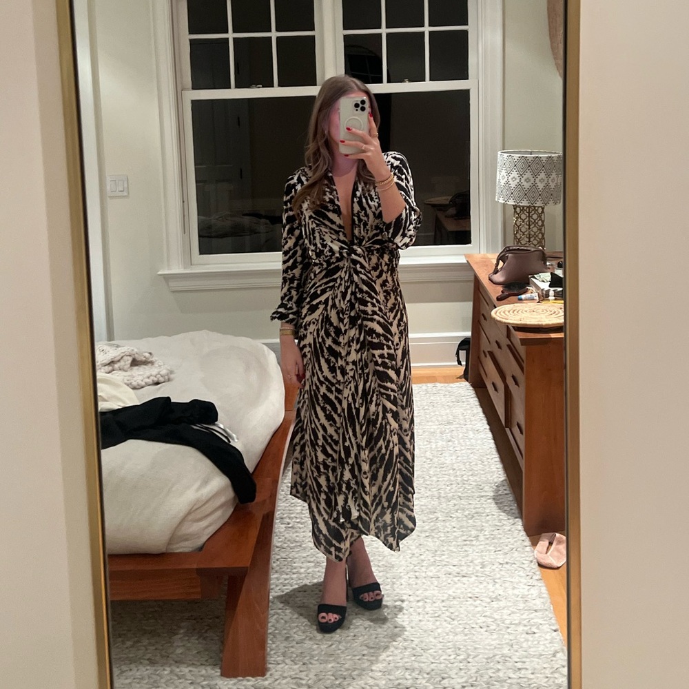 ZARA Printed Dress
